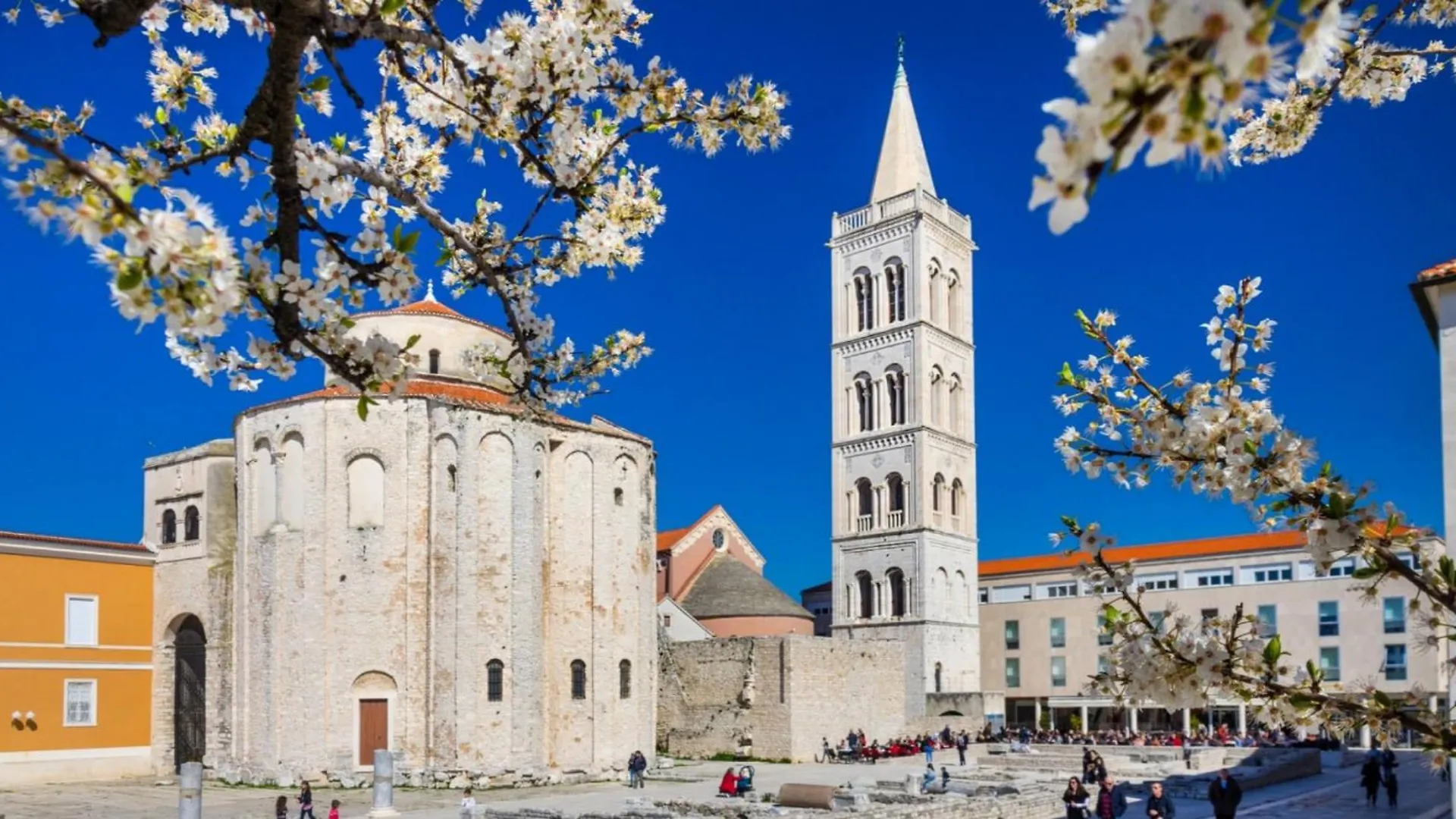 Sea View City Studio Apartment Zadar